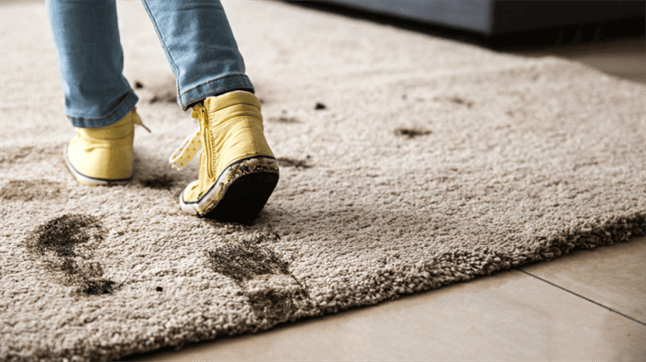 Advanced cleaning services by Cleanie